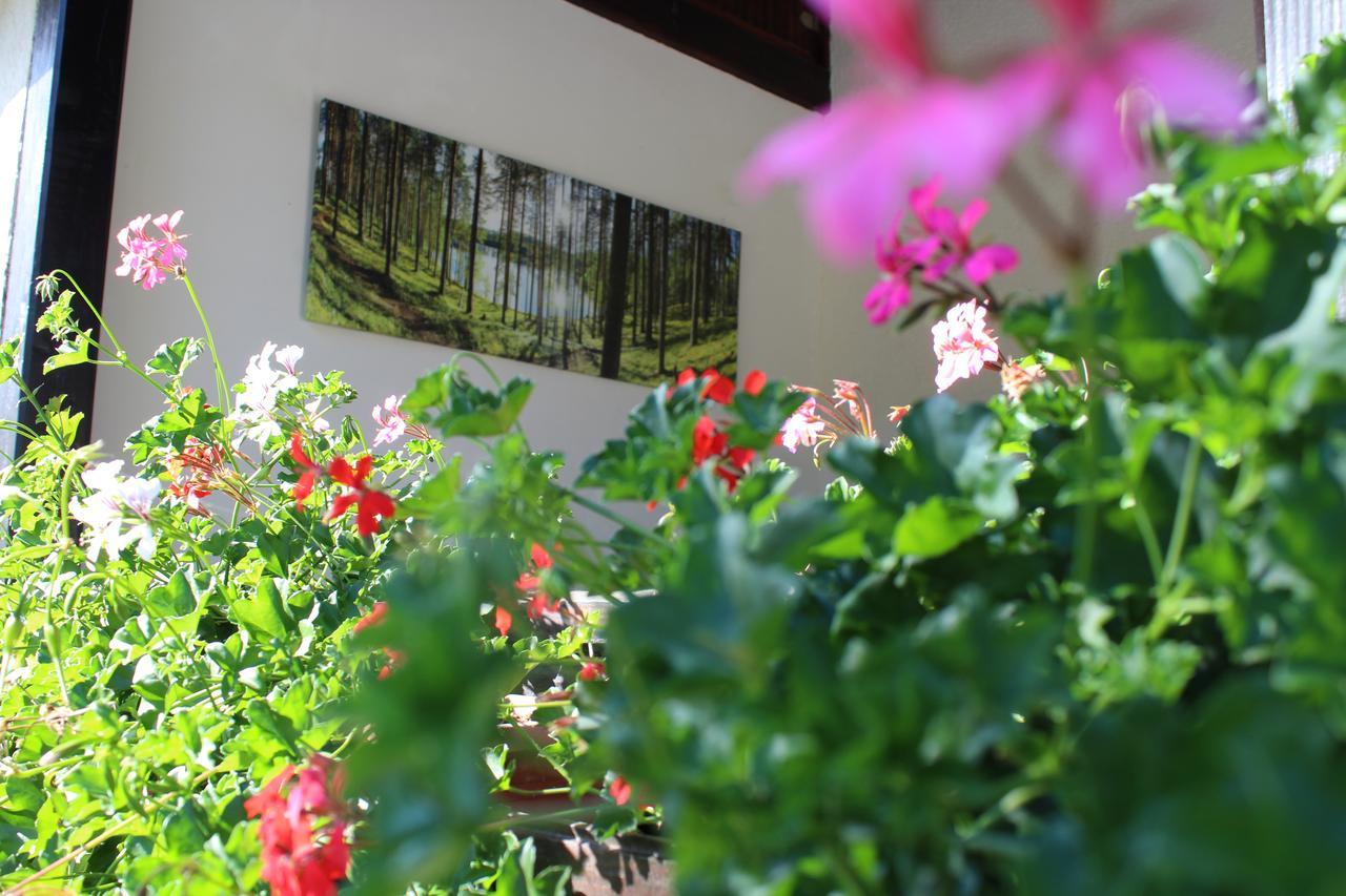 B&B Millenium House Plitvička Jezera Dış mekan fotoğraf